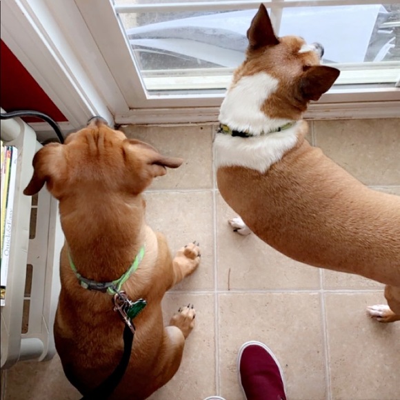 β  Welcome To My Closet! β - Picture 5 of 5